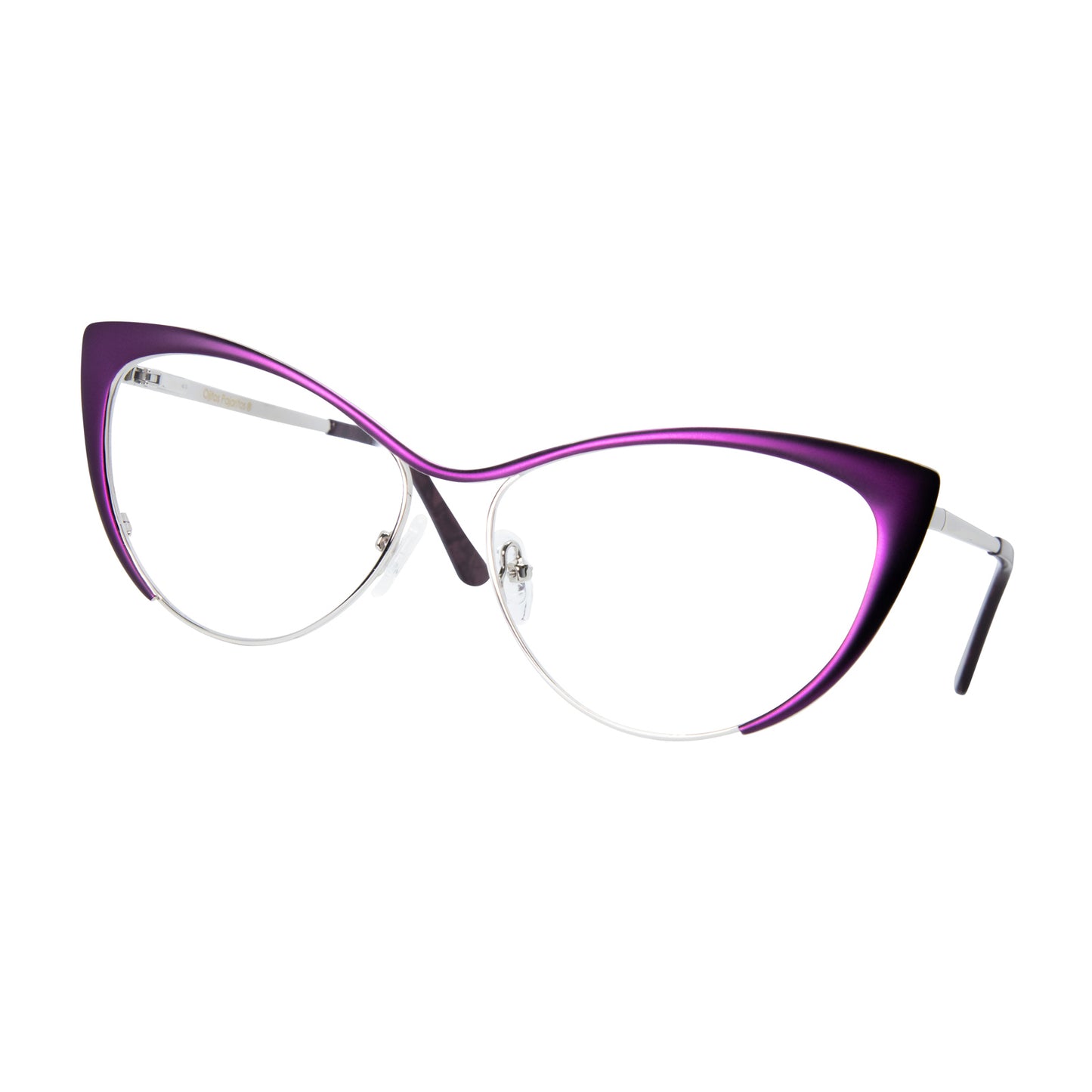 ESCARABAJO MORADO